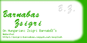 barnabas zsigri business card